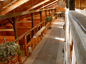 One of the main aisles