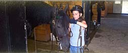 Tacking up for lesson