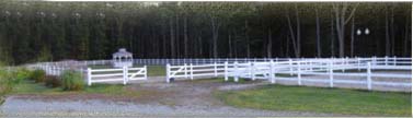 Outdoor Rings